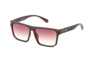 IRUS 1359 Sunglasses